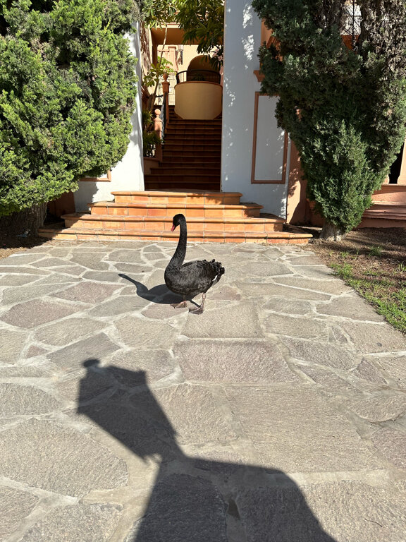 Фото Bahía del Duque