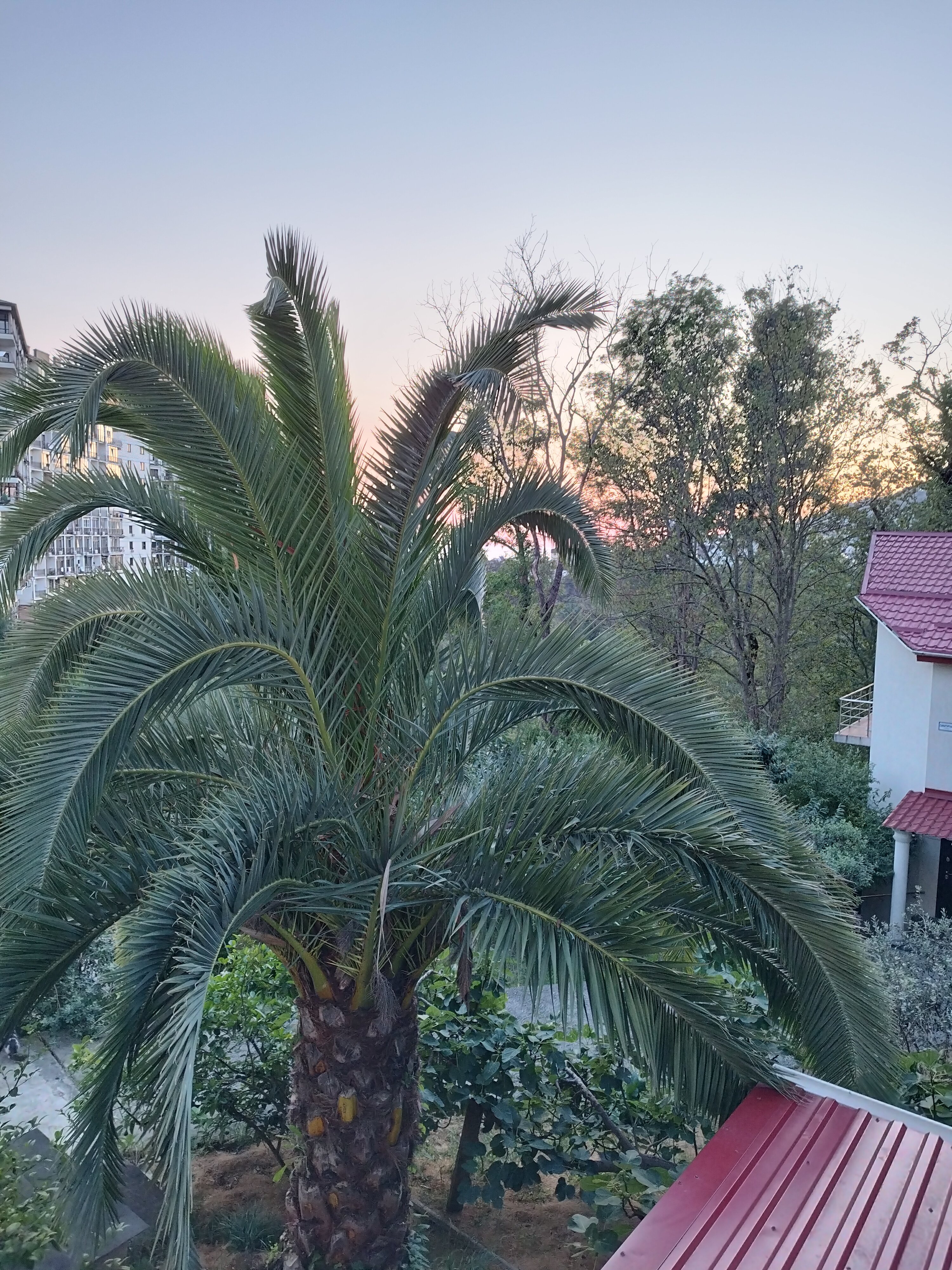 Фото Элит Хаус