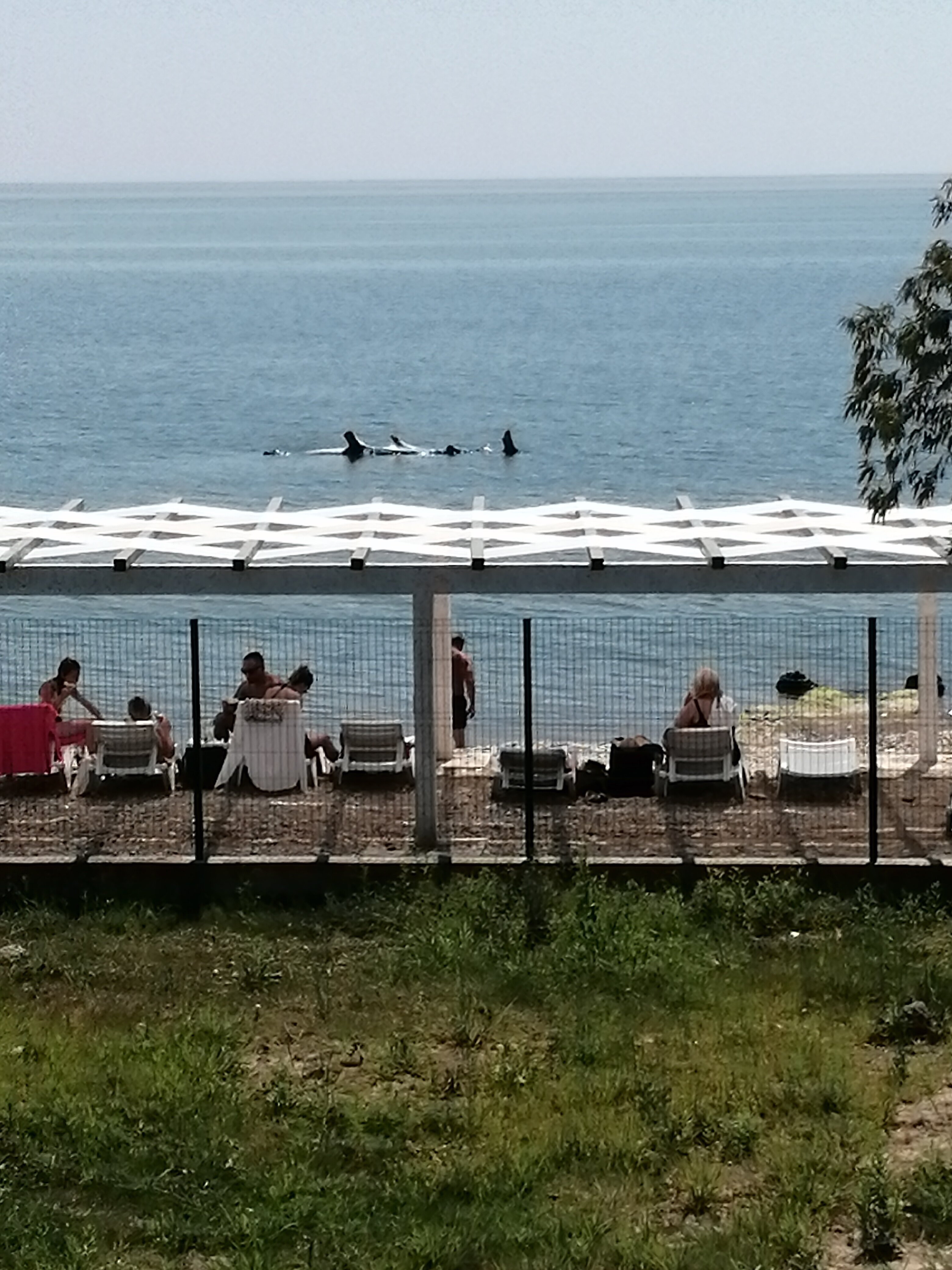 Фото Вилла Приморское