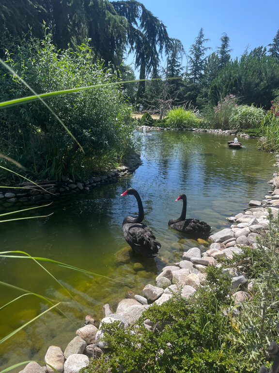 Фото Каскадас Фемили Резорт