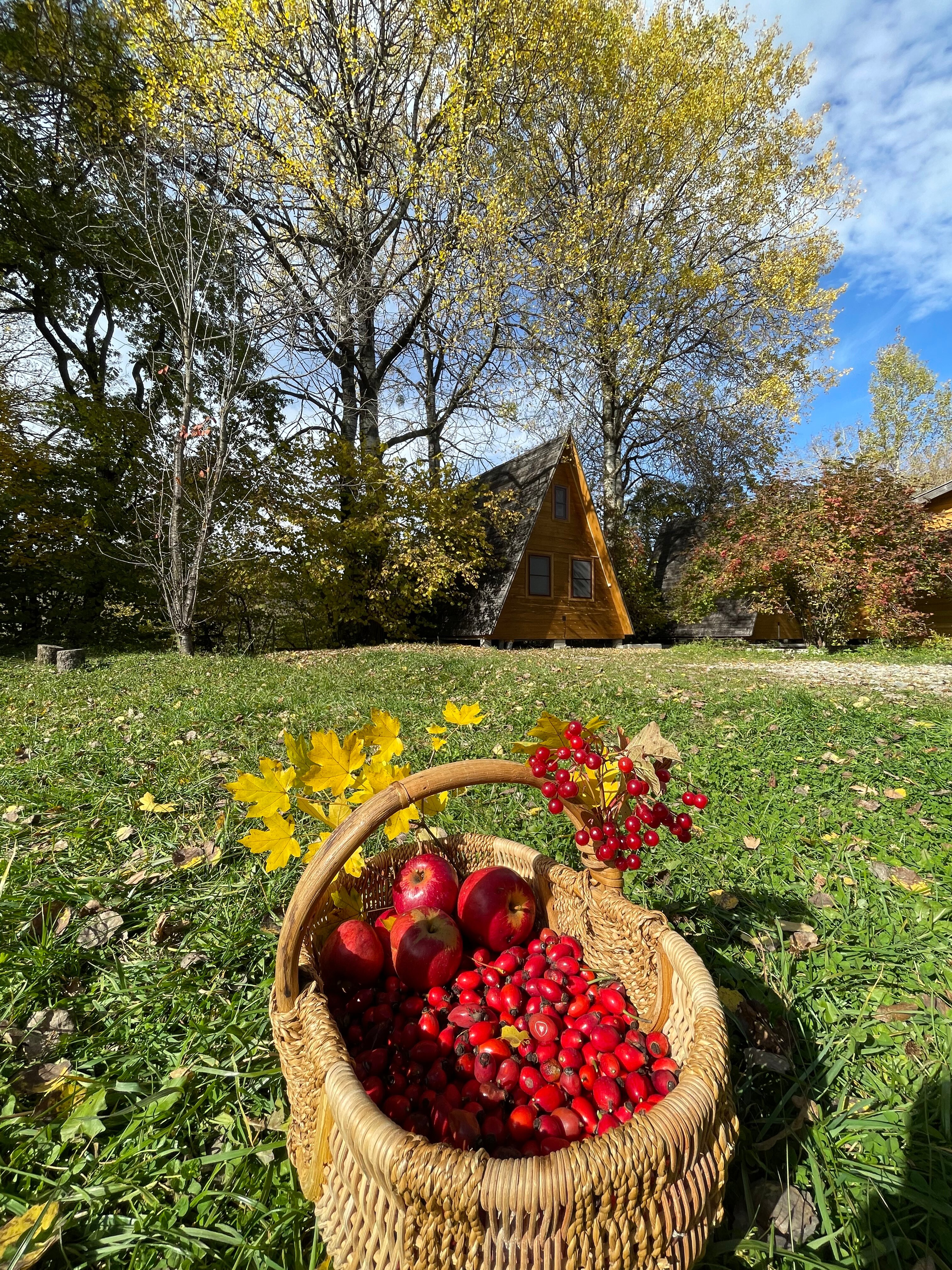 Фото Теремки у реки по дороге на Архыз