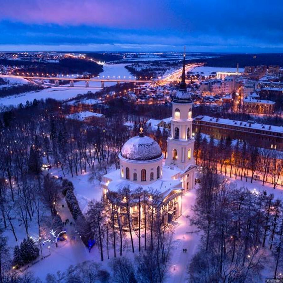 Виды калуги красивые фото