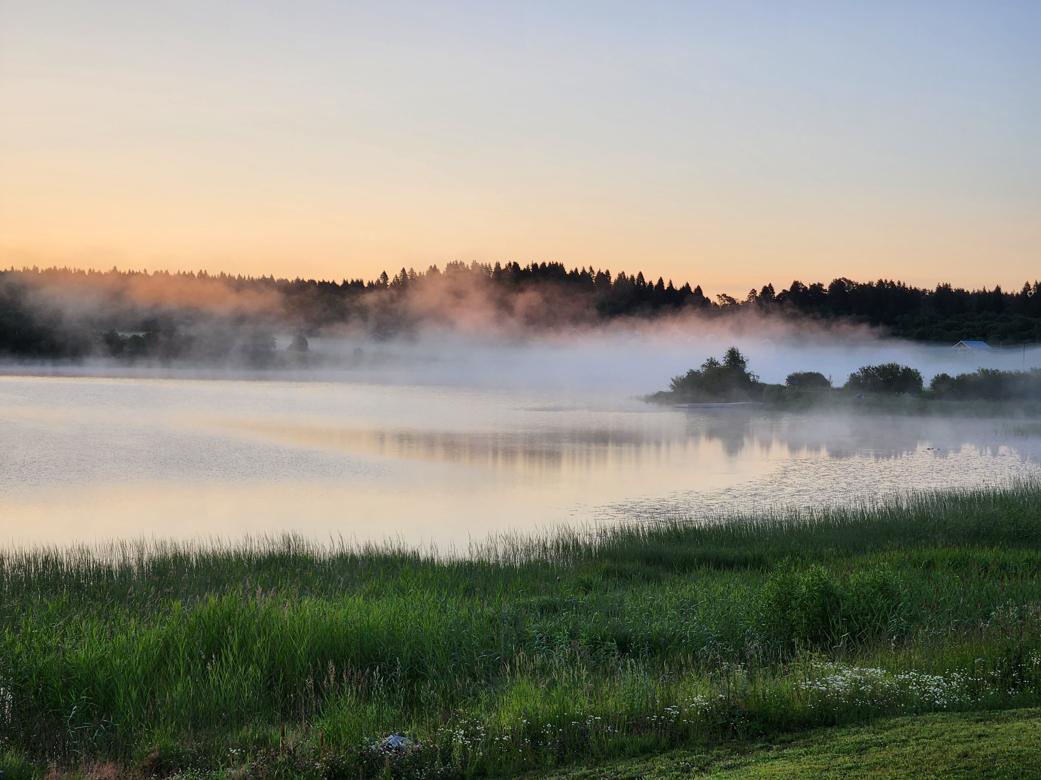 Фото Черника в Сонном заливе