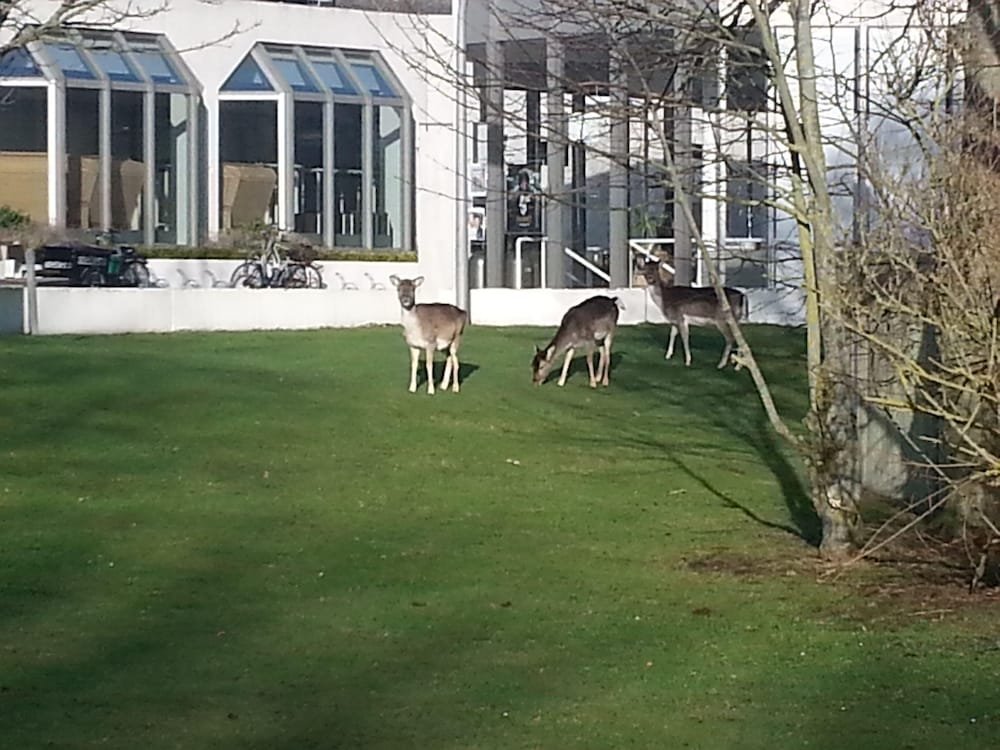 Фото отеля 3