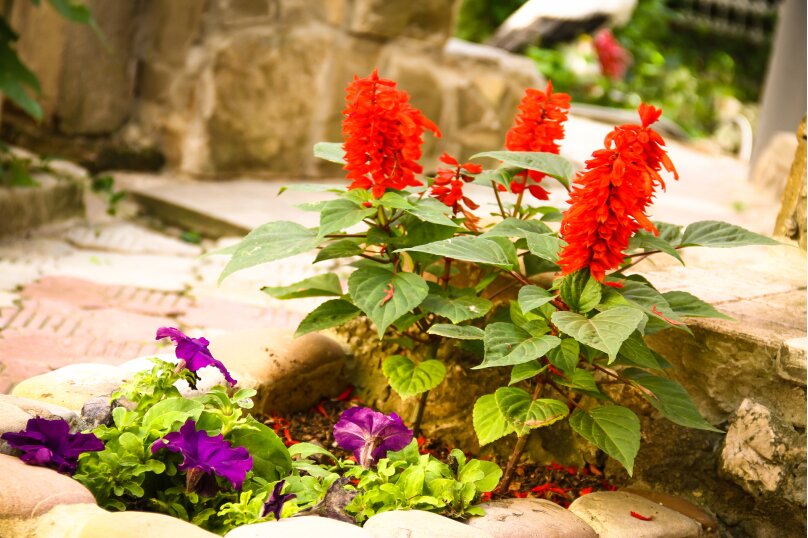 Фото Домашний уют