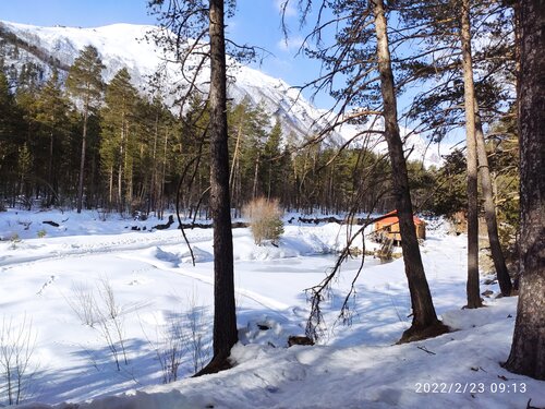 Жильё посуточно Forest House в Терсколе