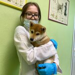 Dobrolapki (Southern District, ulitsa Zagira Ismagilova, 15), clínica veterinaria
