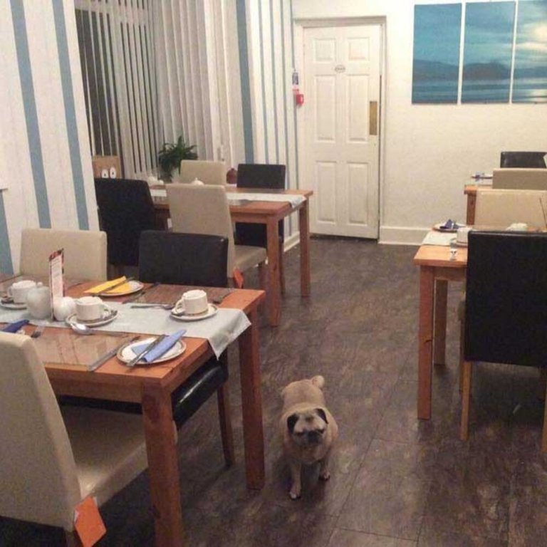 Фото King Edward Hotel