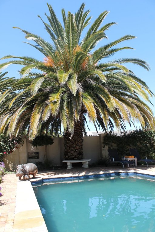 Фото Stellendal Guest House