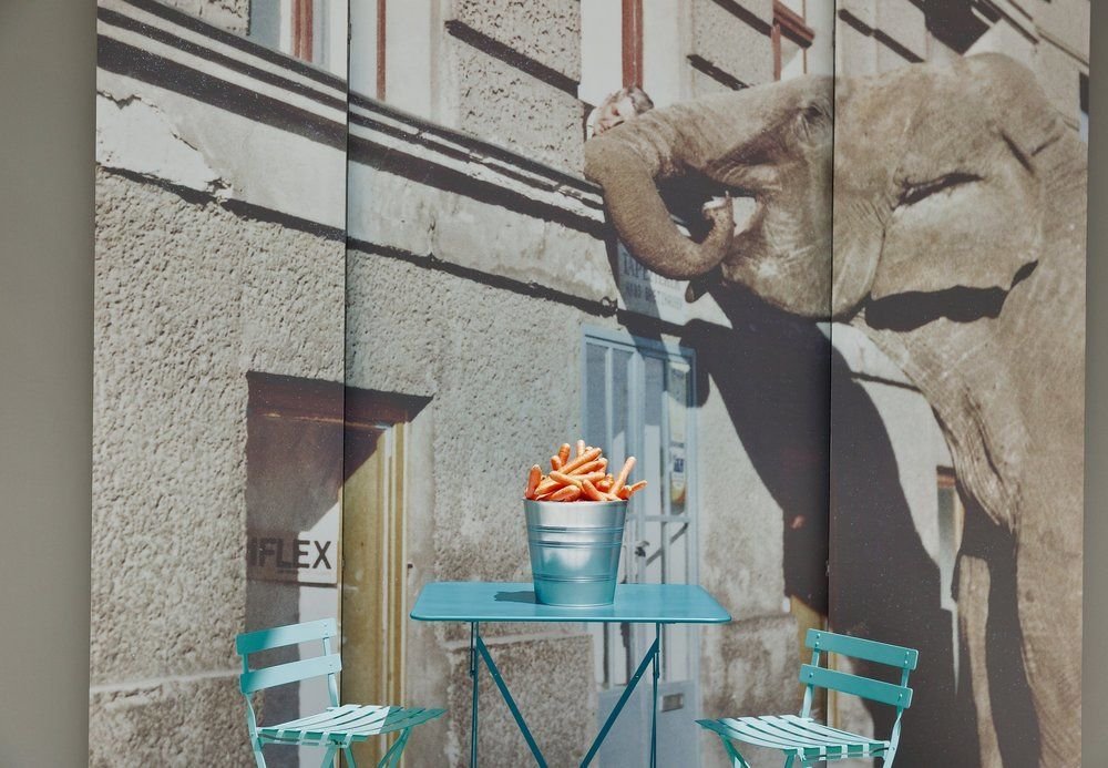 Фото Courtyard by Marriott Vienna Prater Messe