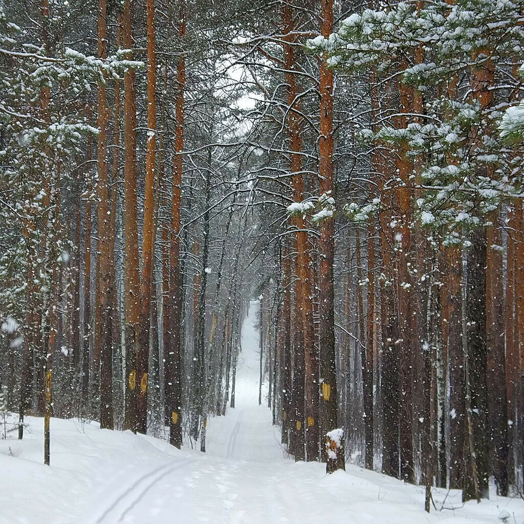 Лыжная база Лыжная база, Екатеринбург, фото