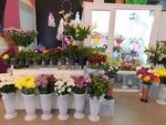 Магазин цветов (Peschanaya Street, 2), floristeria