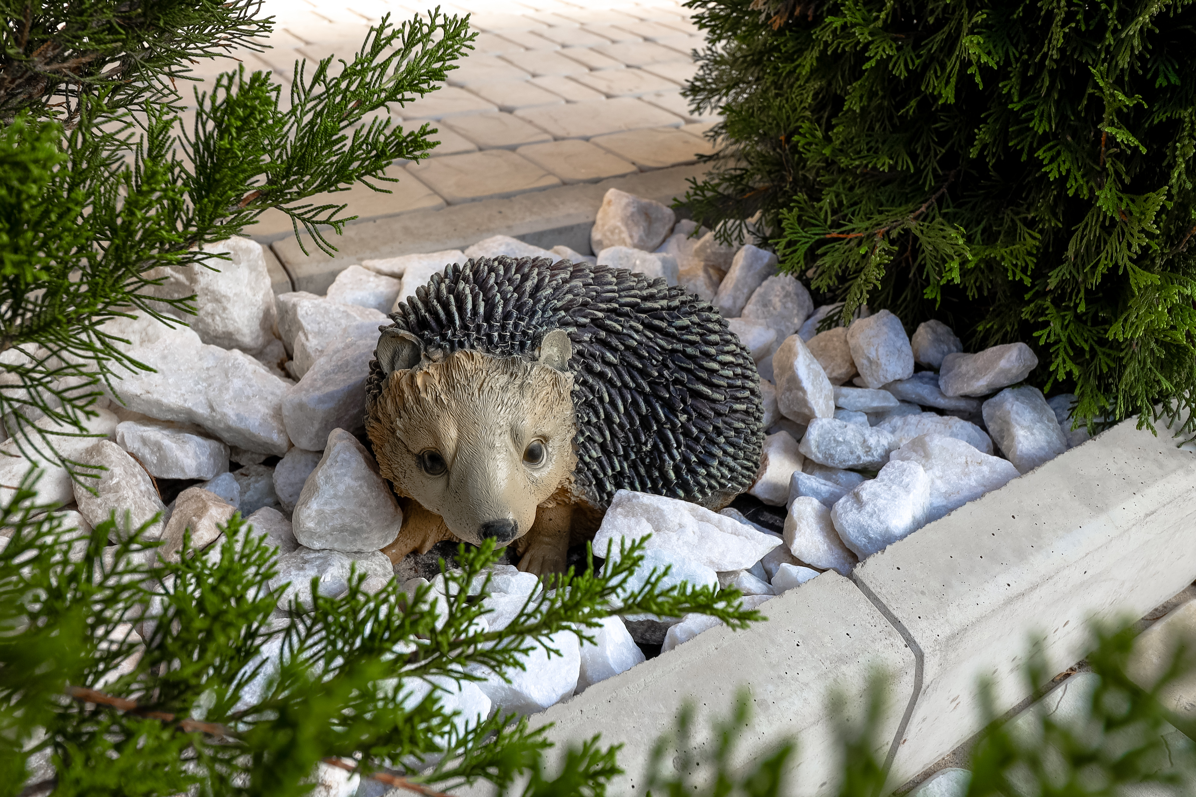 Фото Маленькая страна