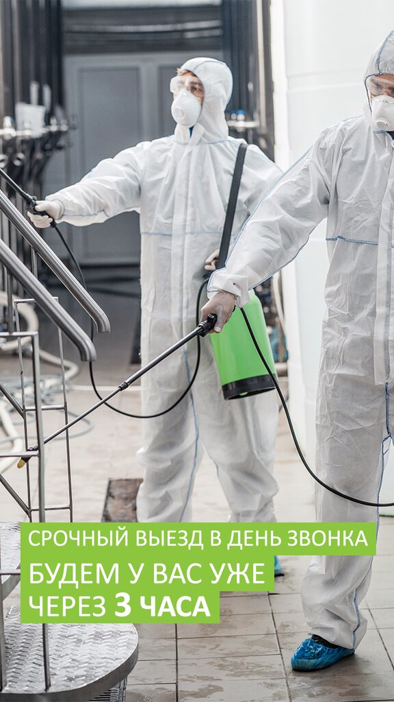 Disinfection, disinsection, deratization DezInCity, Moscow, photo