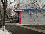 Wildberries (19th Quarter, Tatishcheva Boulevard, 13) ، نقطة تسليم
