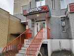 ЦветОк (Lipetsk, Geroya Rossii Eduarda Belana Street, 10) ، محل زهور