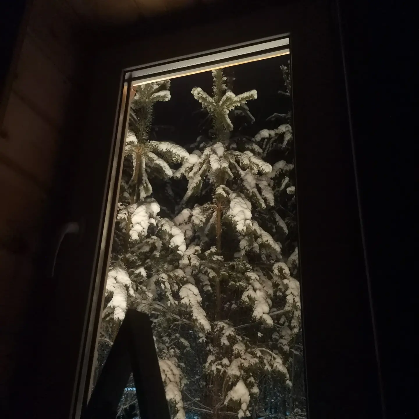 Фото О, Дни в Лесу