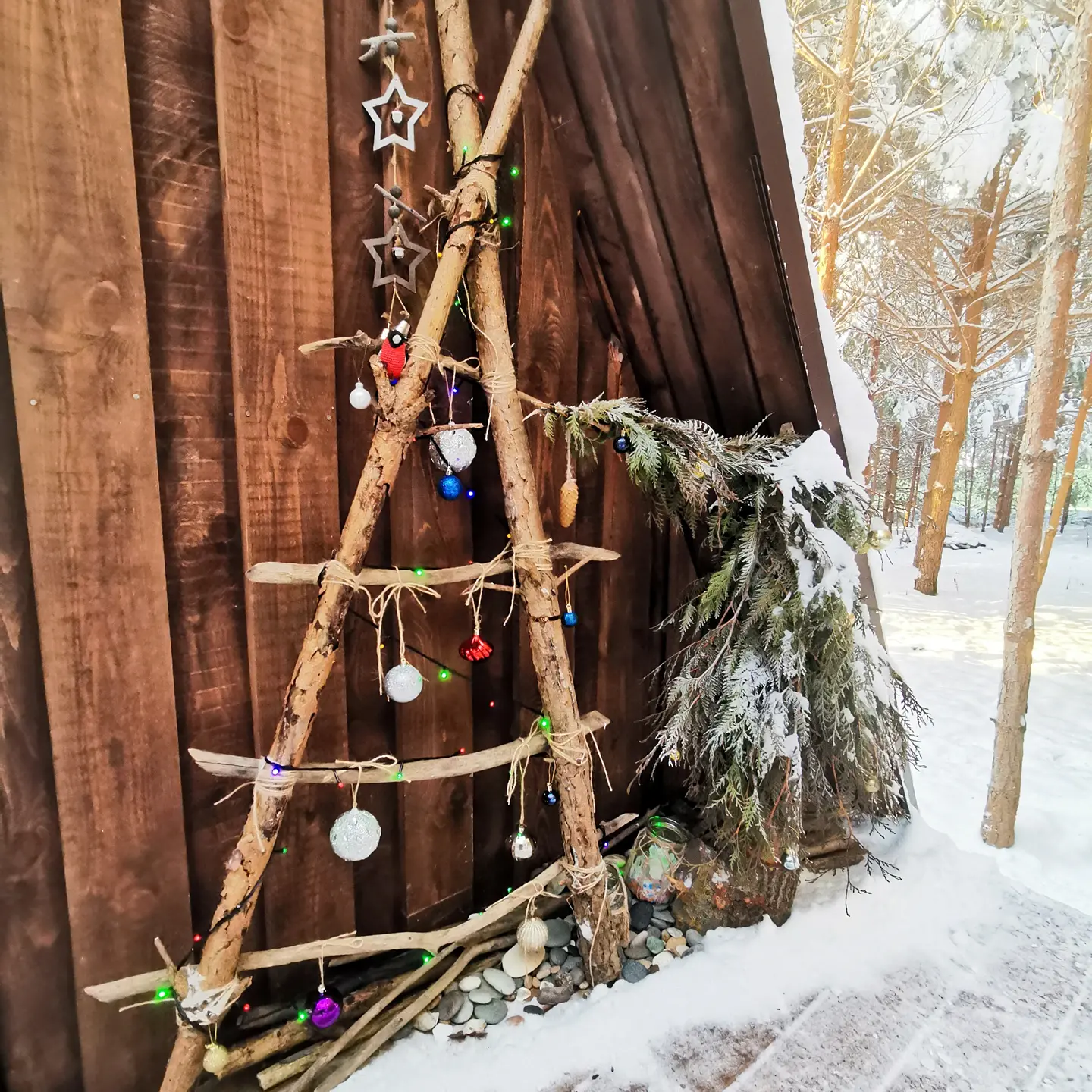 Фото О, Дни в Лесу