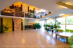 Private school - Kindergarten Reed School (Zastavskaya Street, 32А) ، مدرسة خاصة
