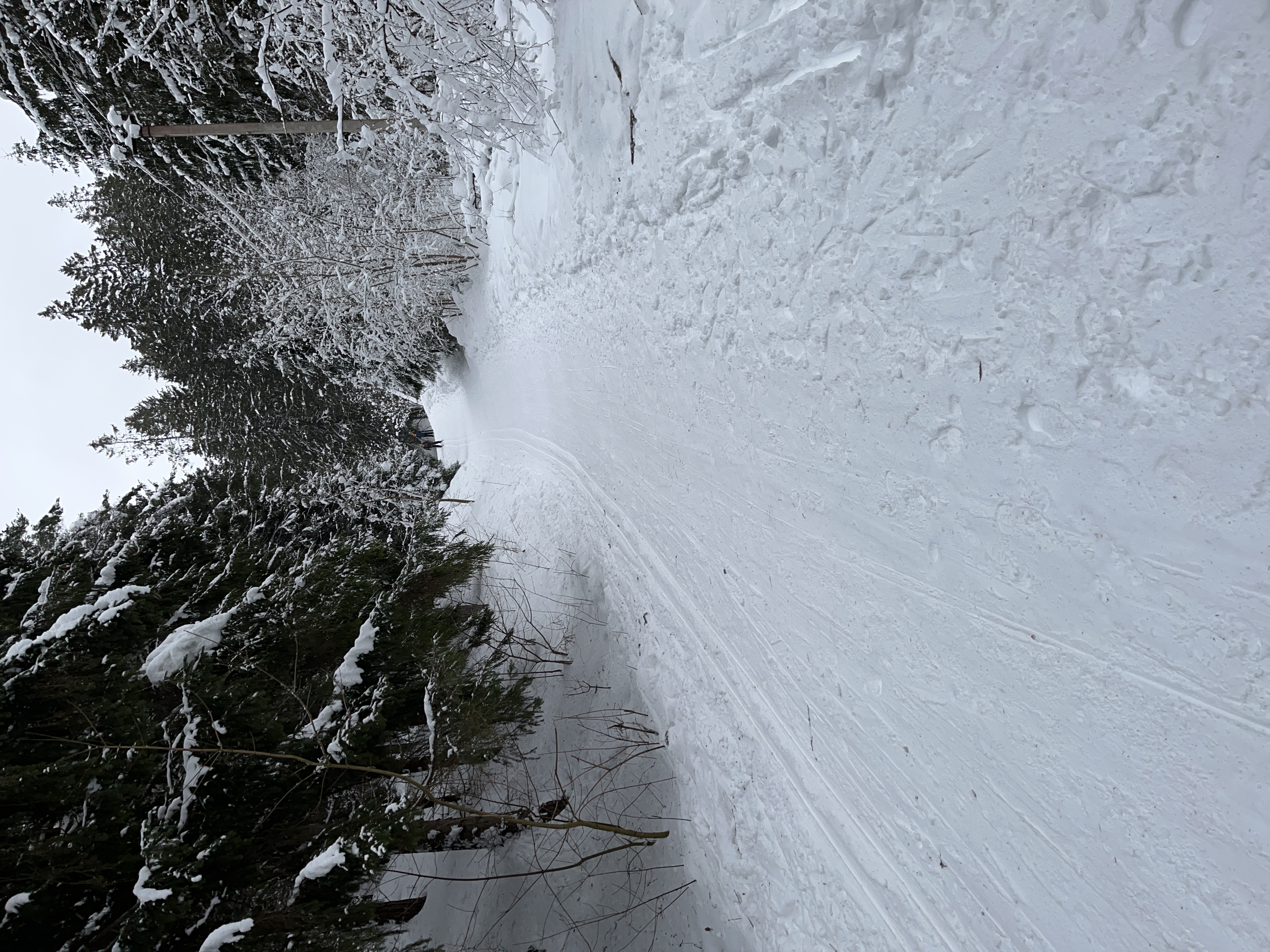 Фото Динамо