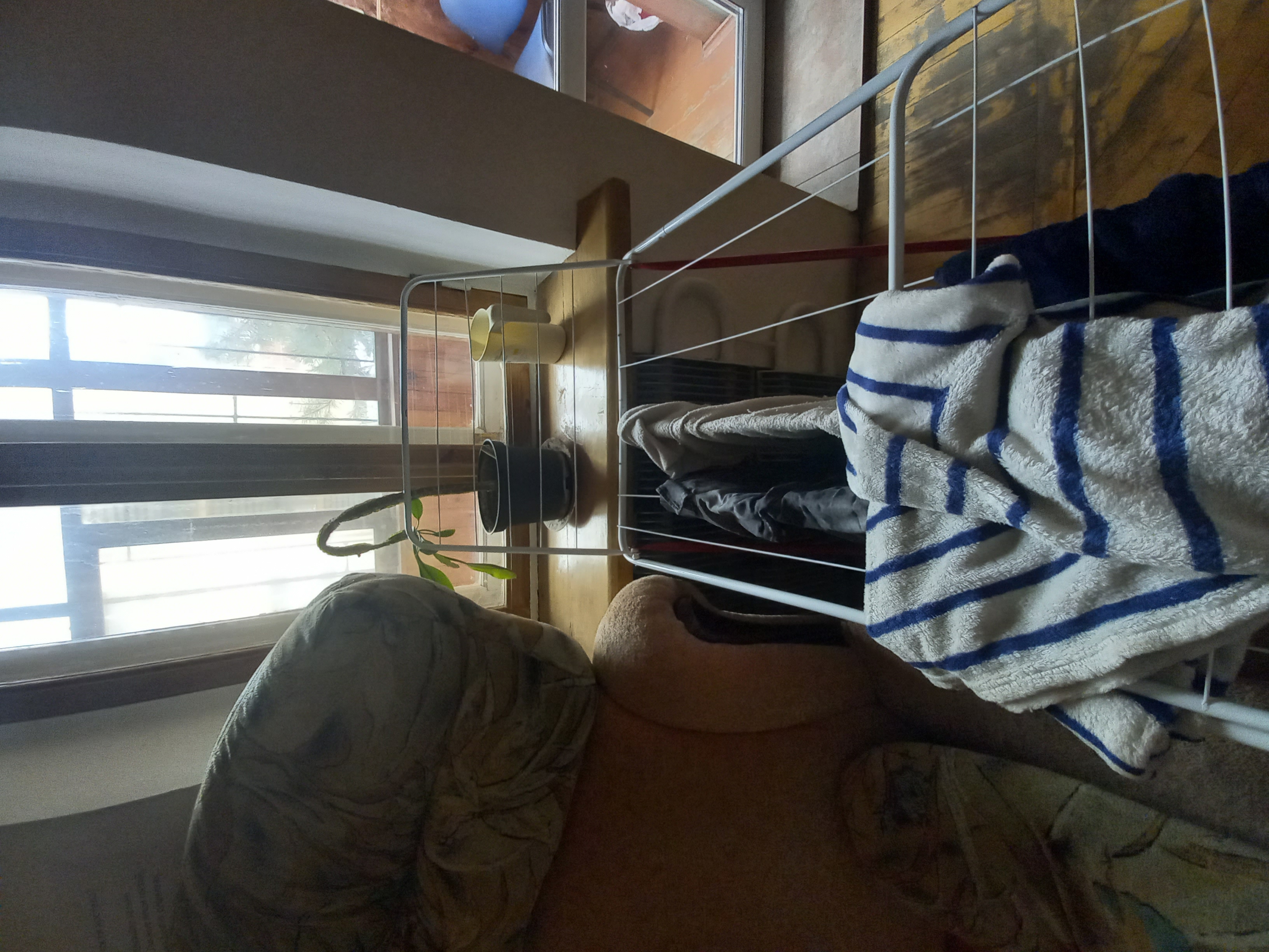 Фото Like Hostel