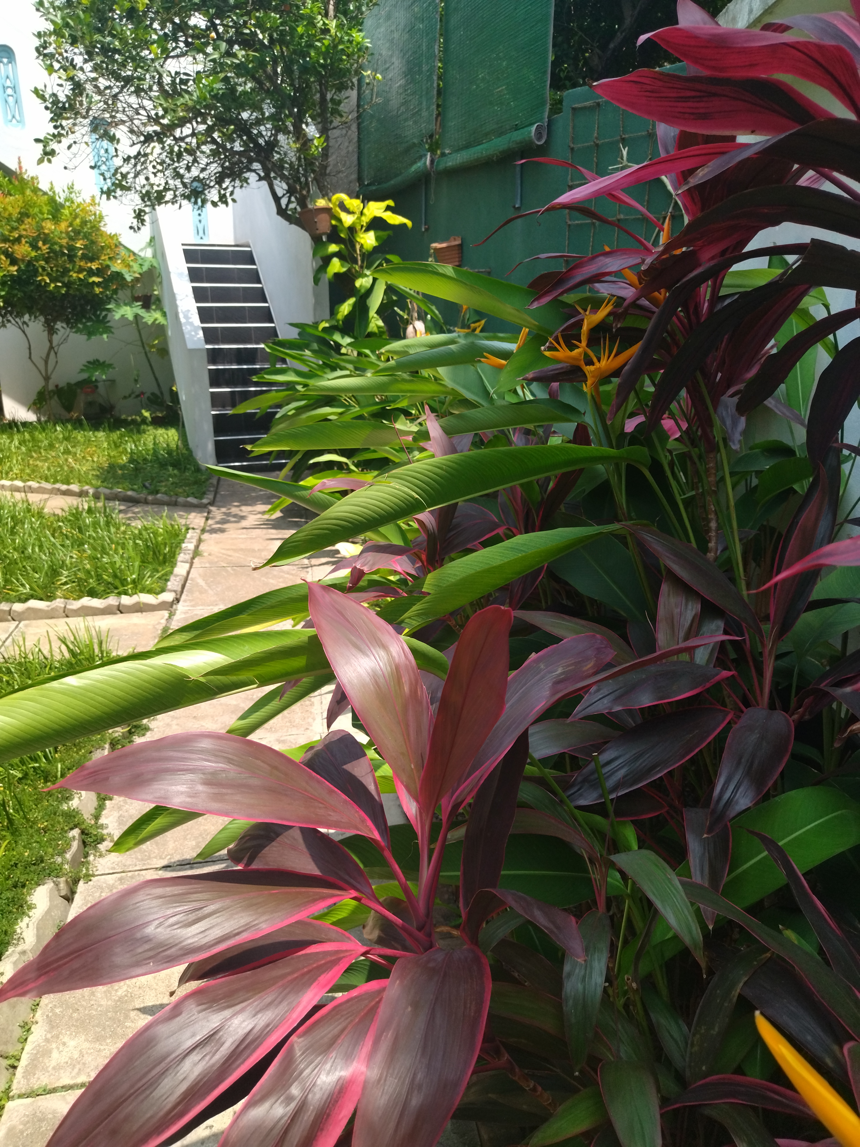 Фото Tamara Motels