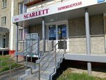 Scarlett (ulitsa Chicherina, 17), hairdresser