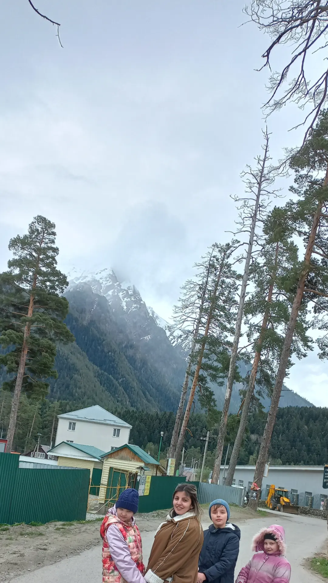 Фото Чинара