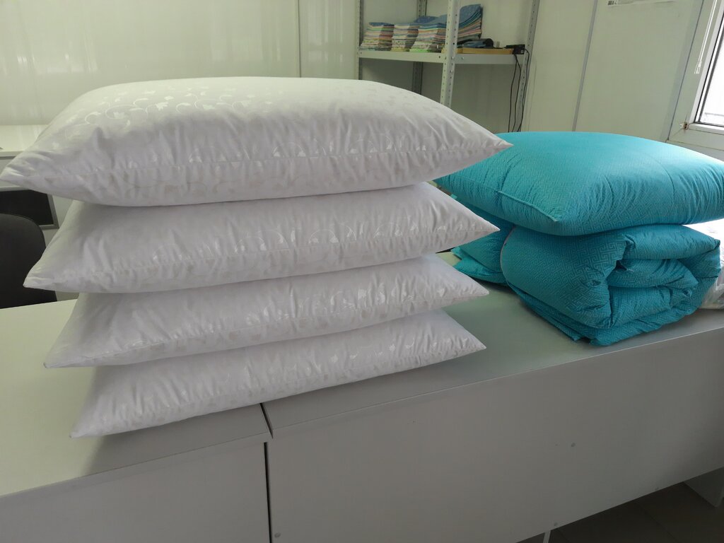 Dry cleaning Chistka Podushek, Bayda S. V., Brest, photo