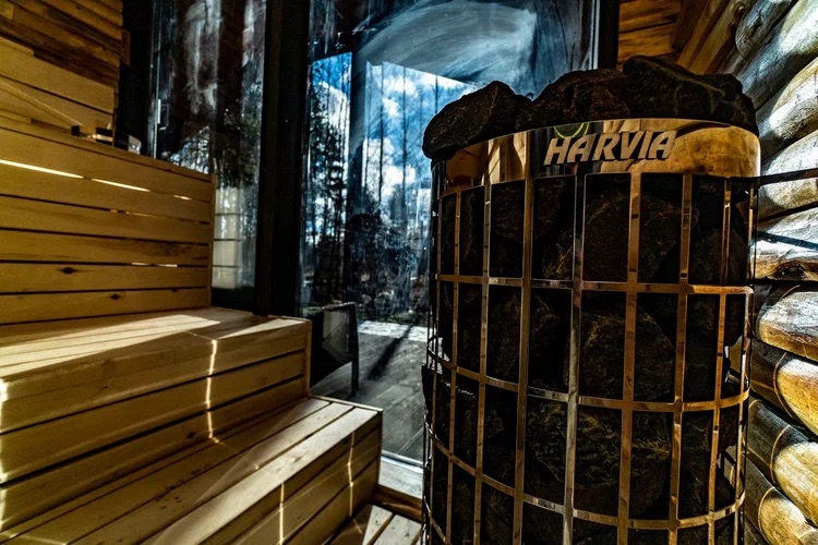 Фото Домик в соснах