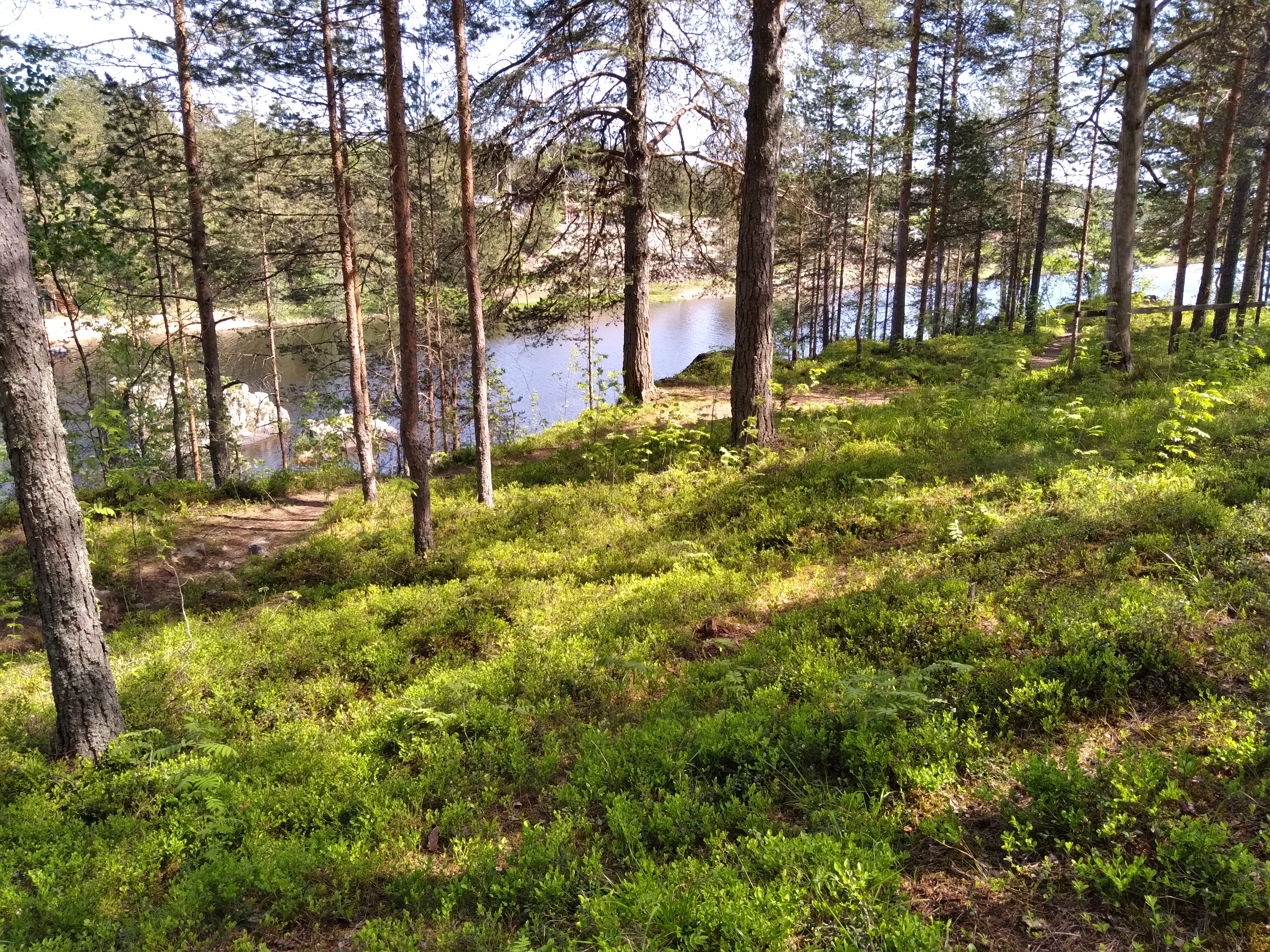 Фото Территория уюта