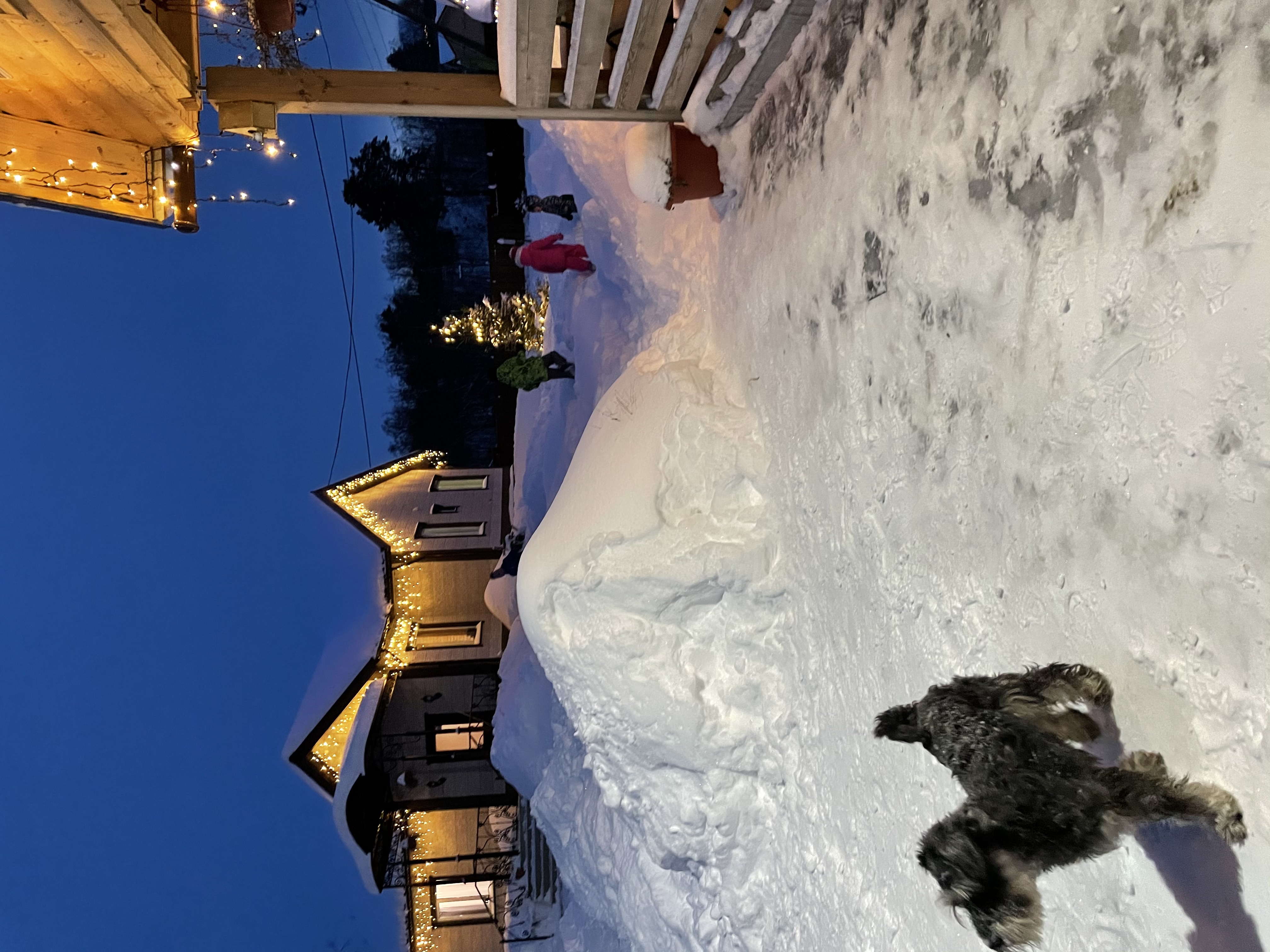 Фото Славянка