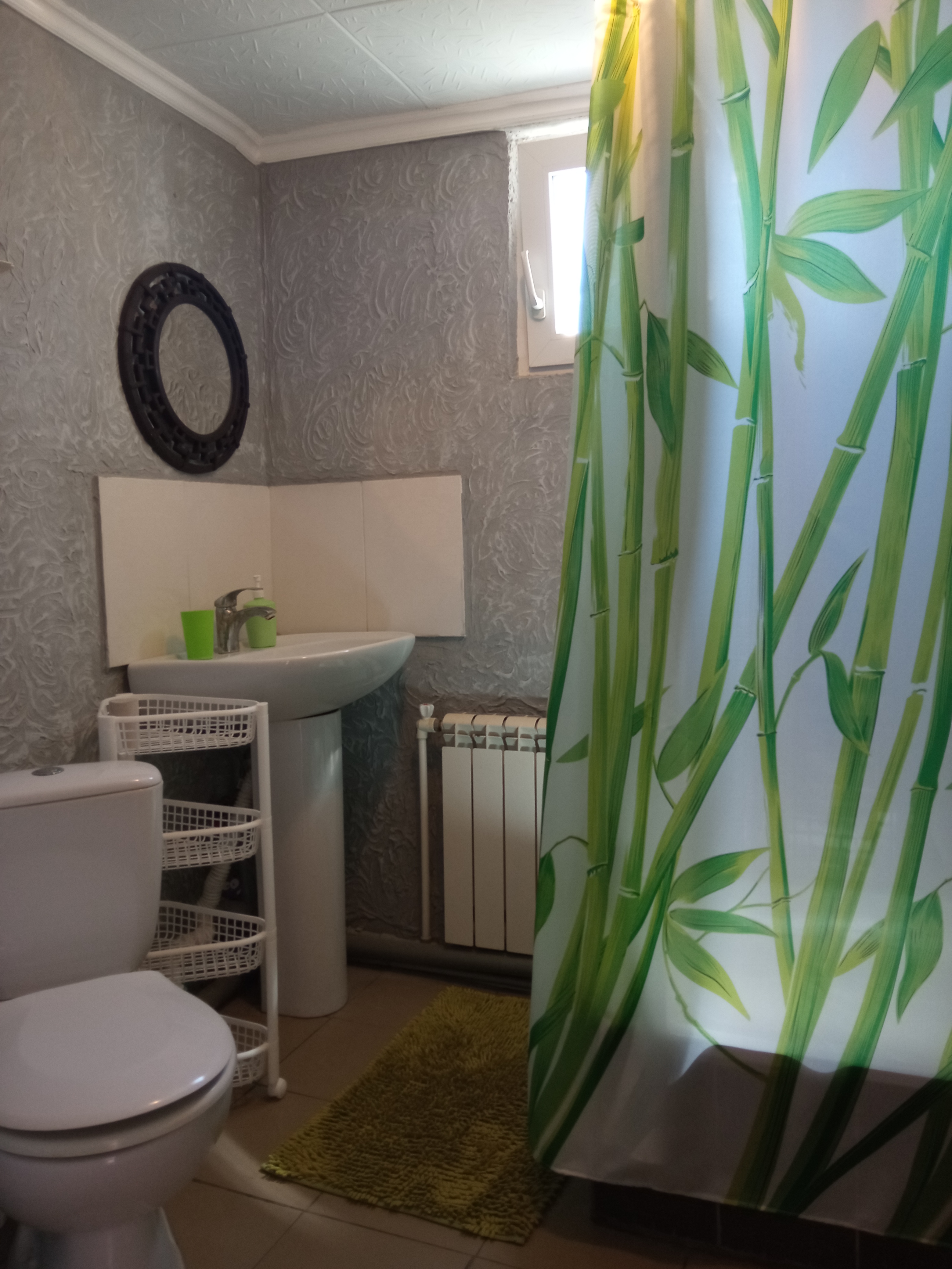 Фото Селена