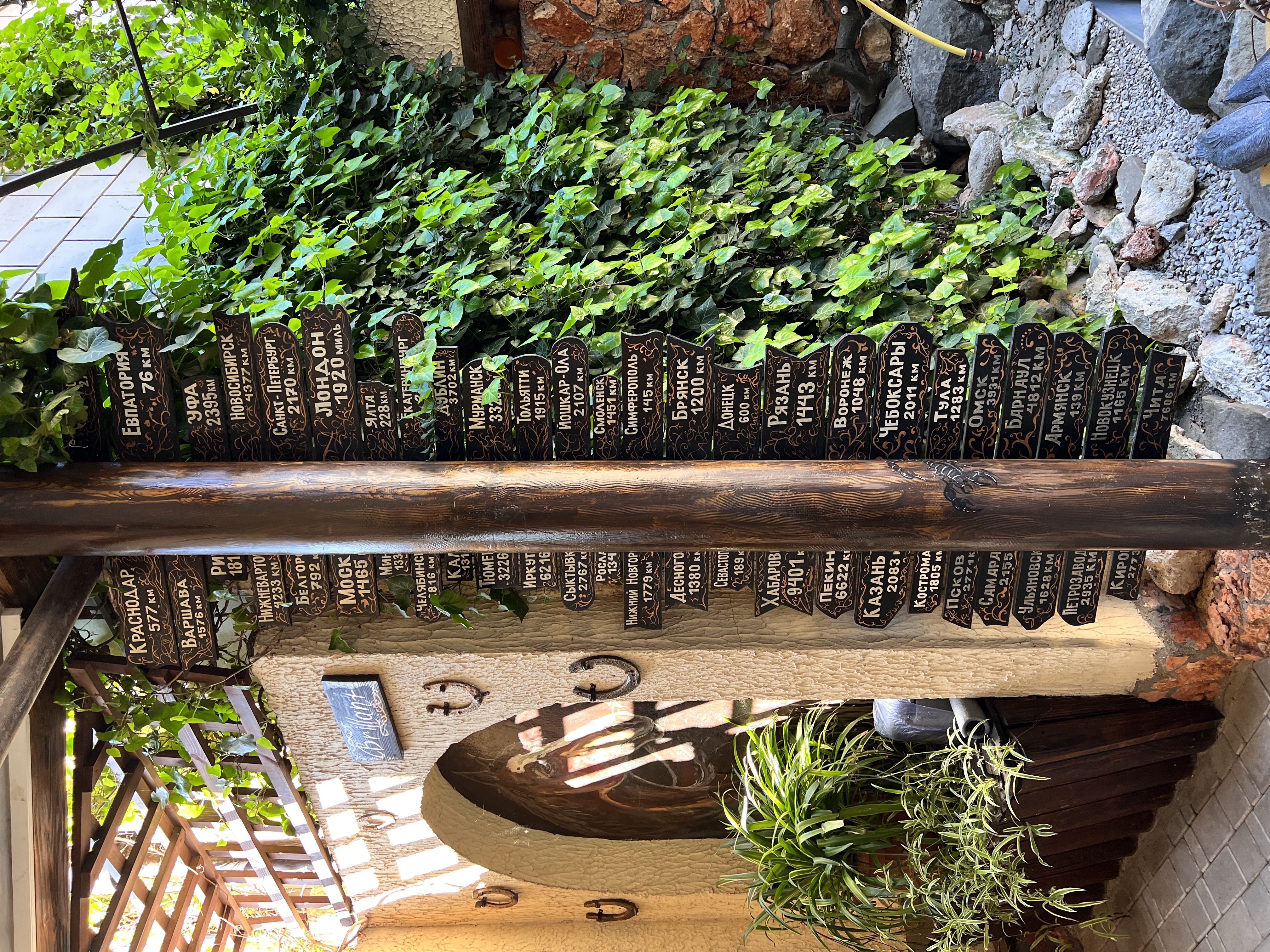 Фото Дом Дракона