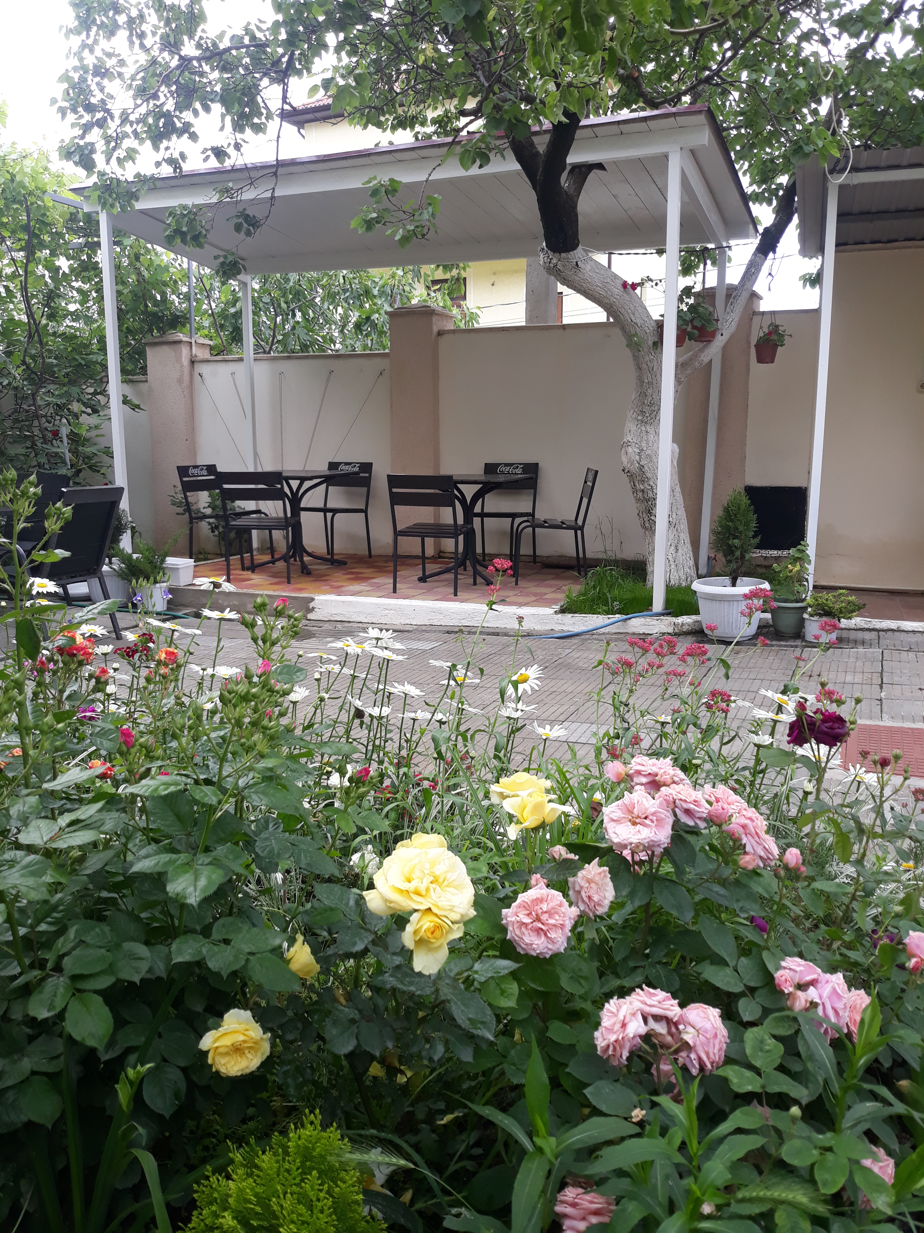 Фото Друзья