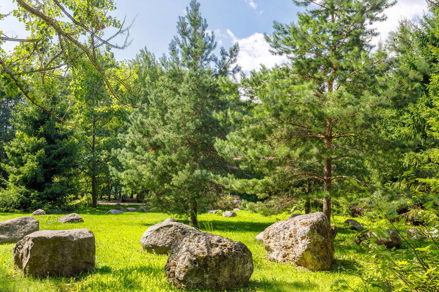 Фото Креатово