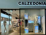 Calzedonia (Betankur Street, 1), stockings and tights shop