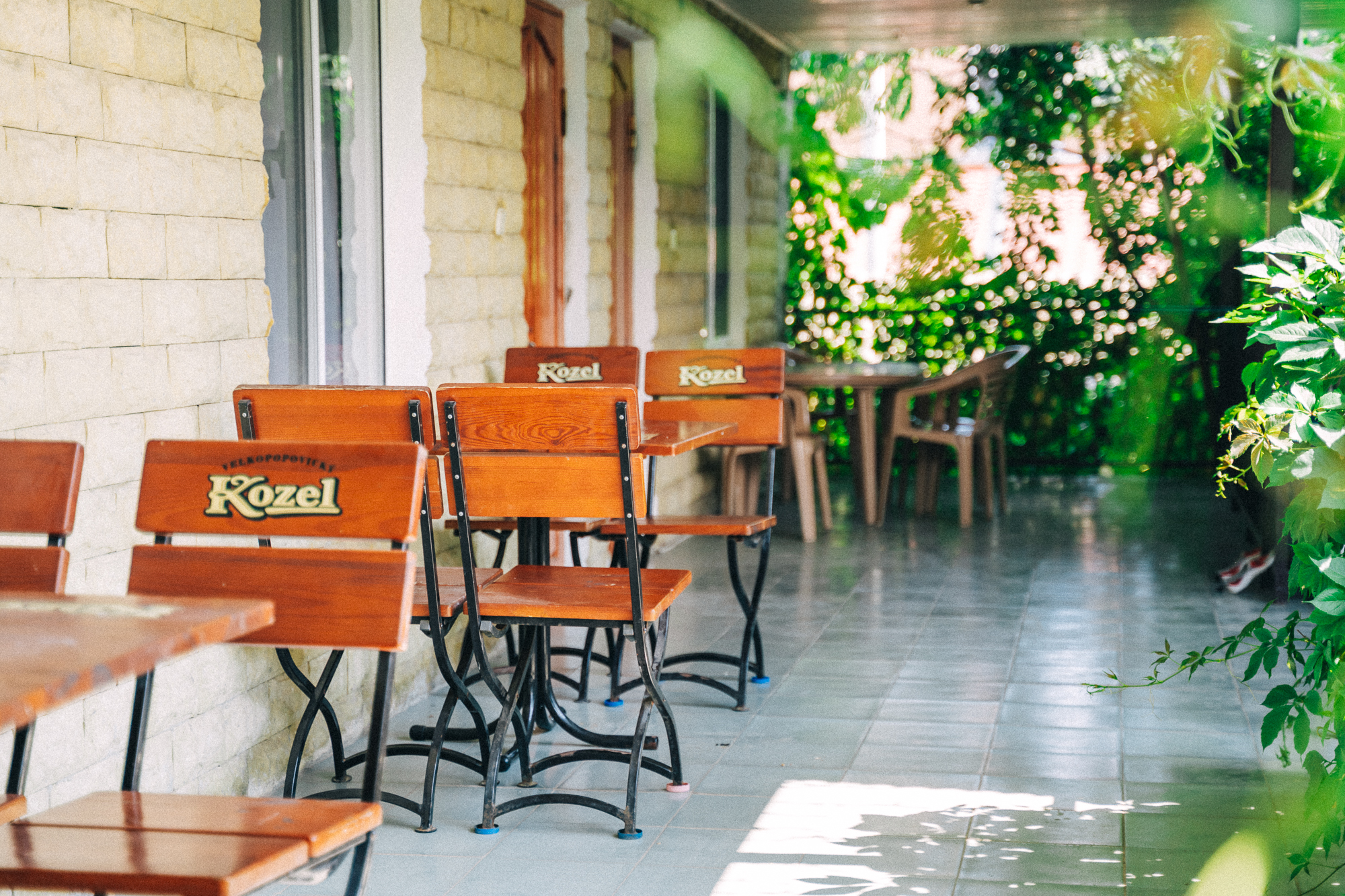 Фото Гостевой дом Lion