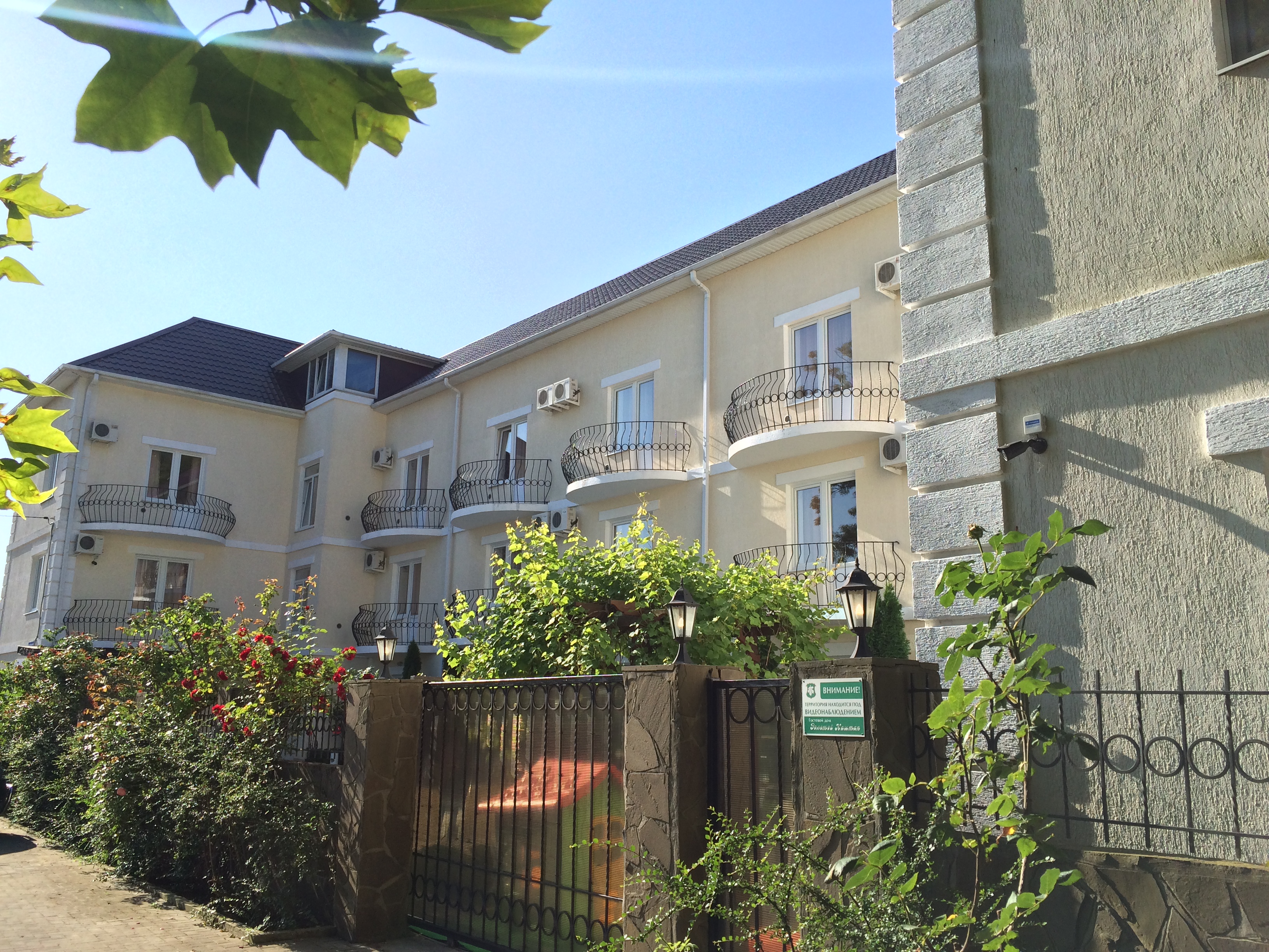 Фото Золотой Каштан