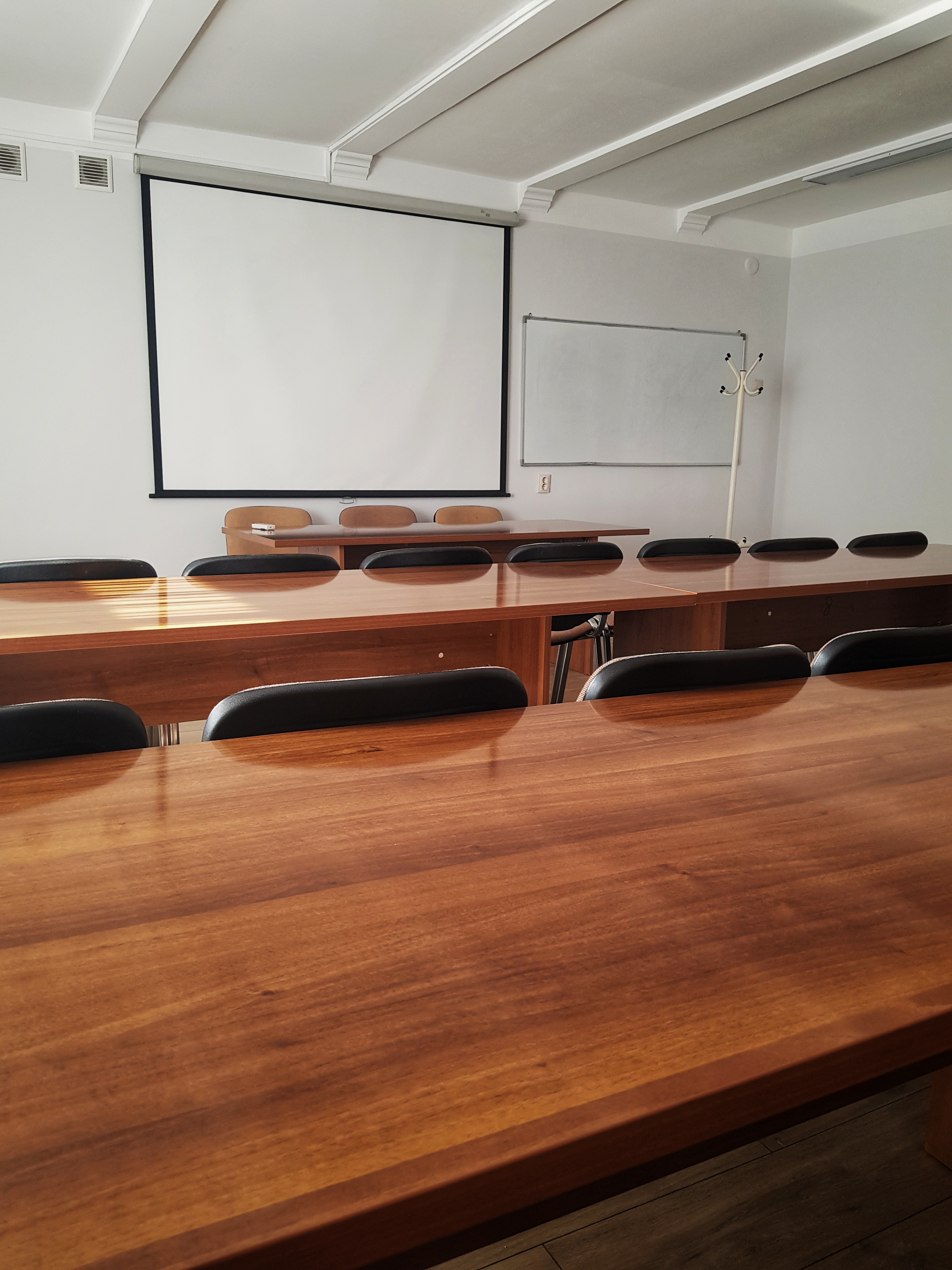 Фото Платан