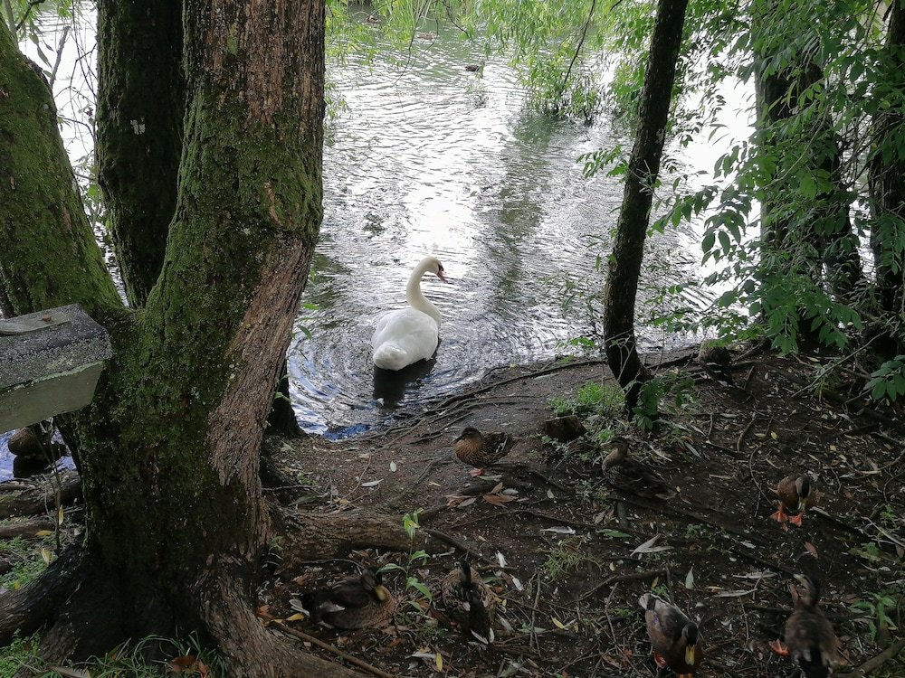 Фото Ribe Guesthouse