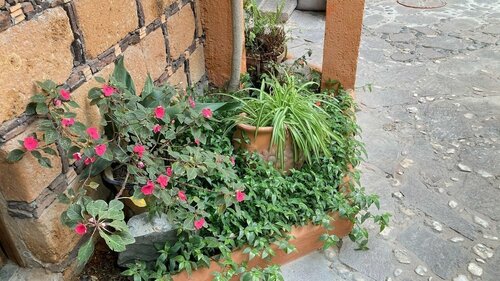 Гостиница Hotel CasaMia в Штате Гуанахуато