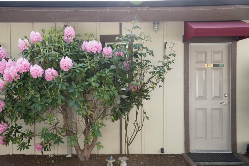 Гостиница Cherry Tree Inn Victoria