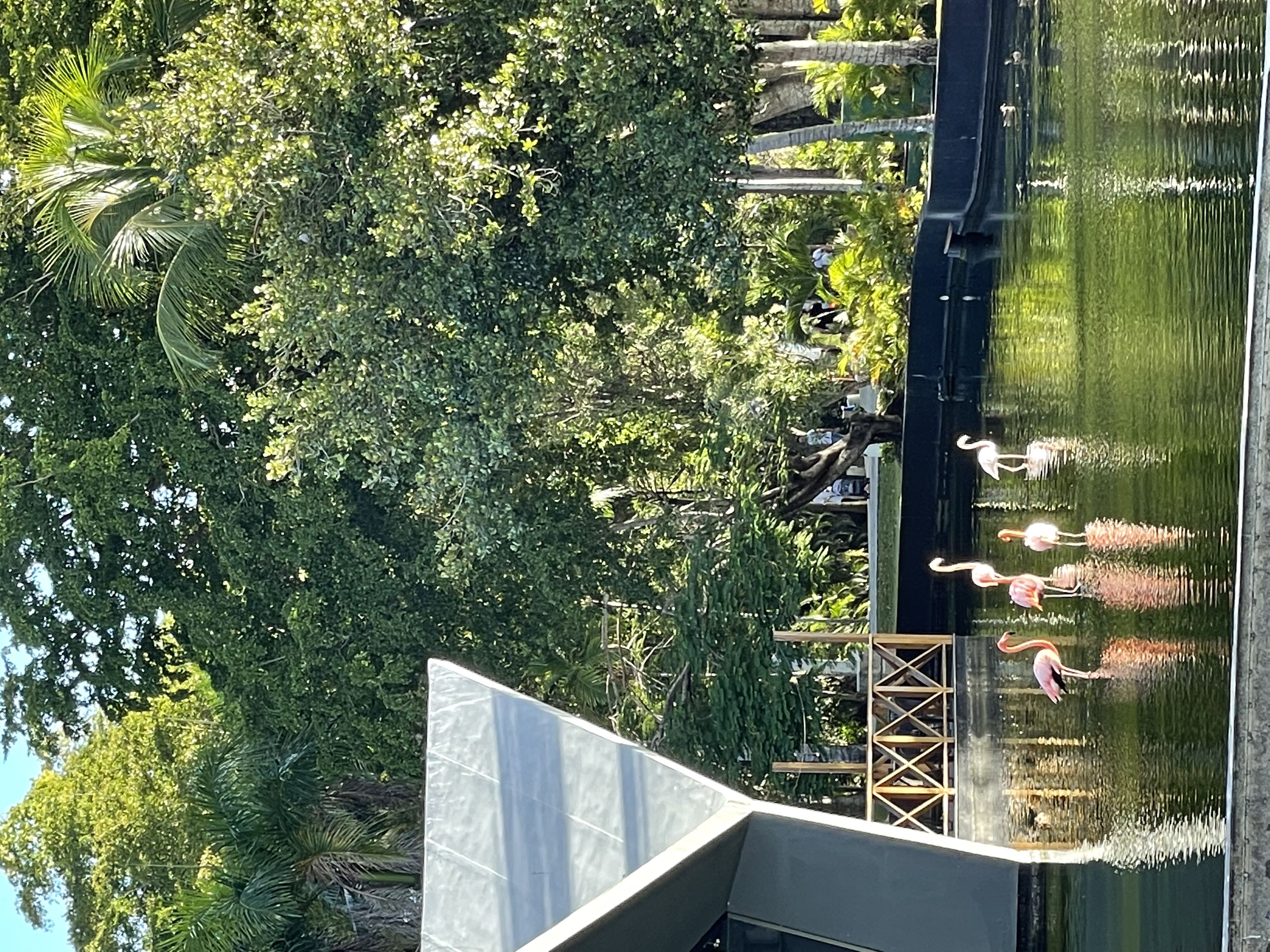 Фото Bavaro Princess Resort SPA And Casino