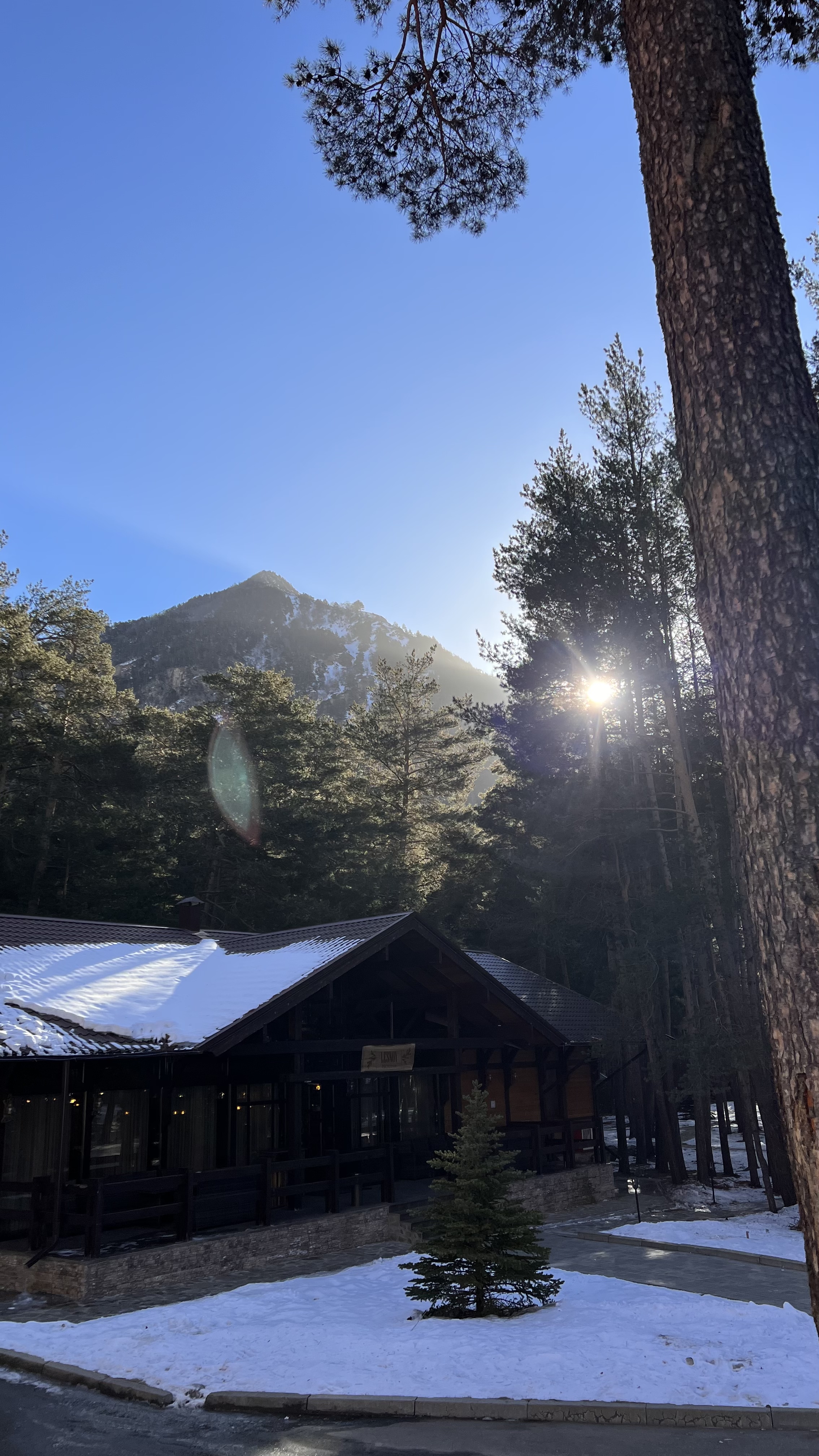 Фото Ozon Village