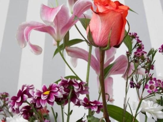 Фото Hostal San Isidro