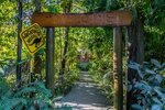 Jackaroo Treehouse Rainforest Retreat
