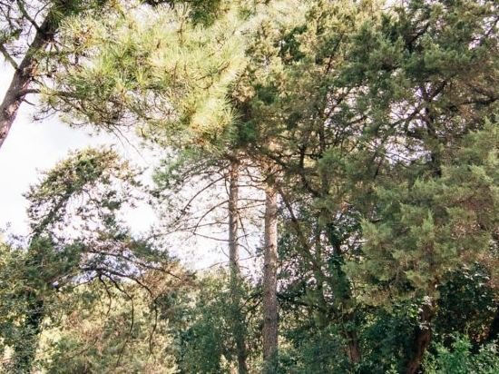 Фото Camping Casa di Caccia