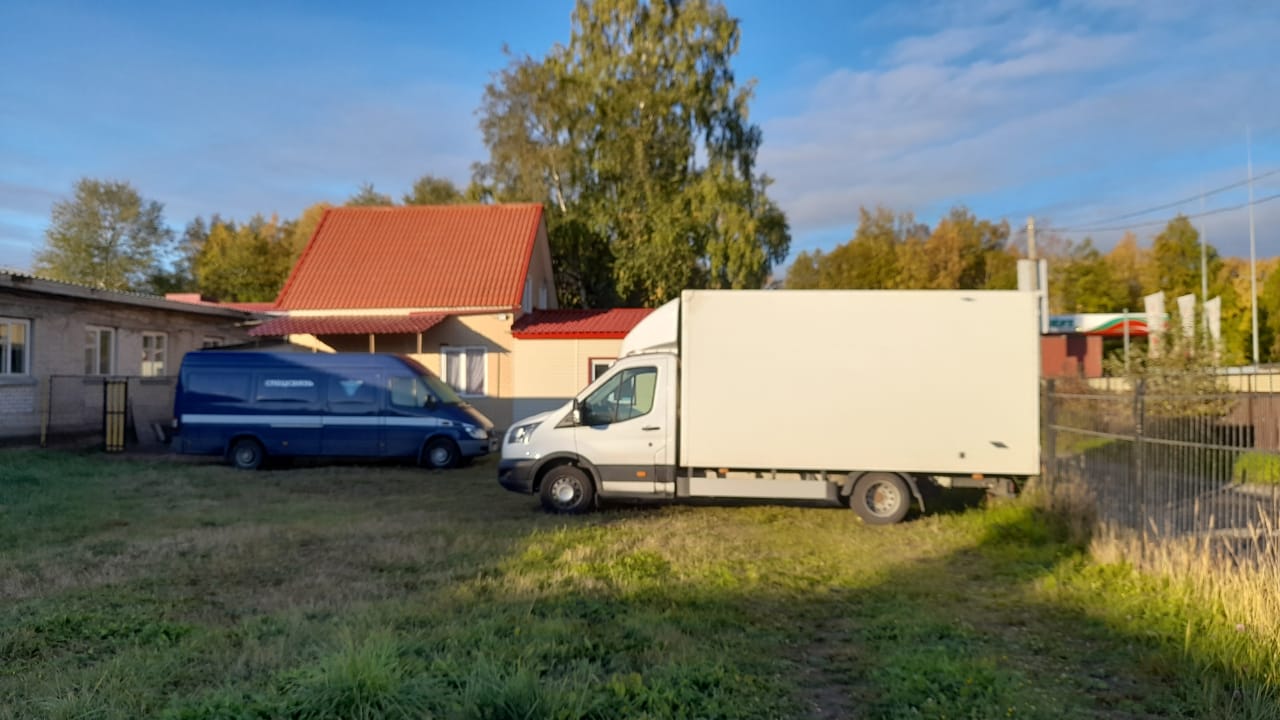 Фото Брусника