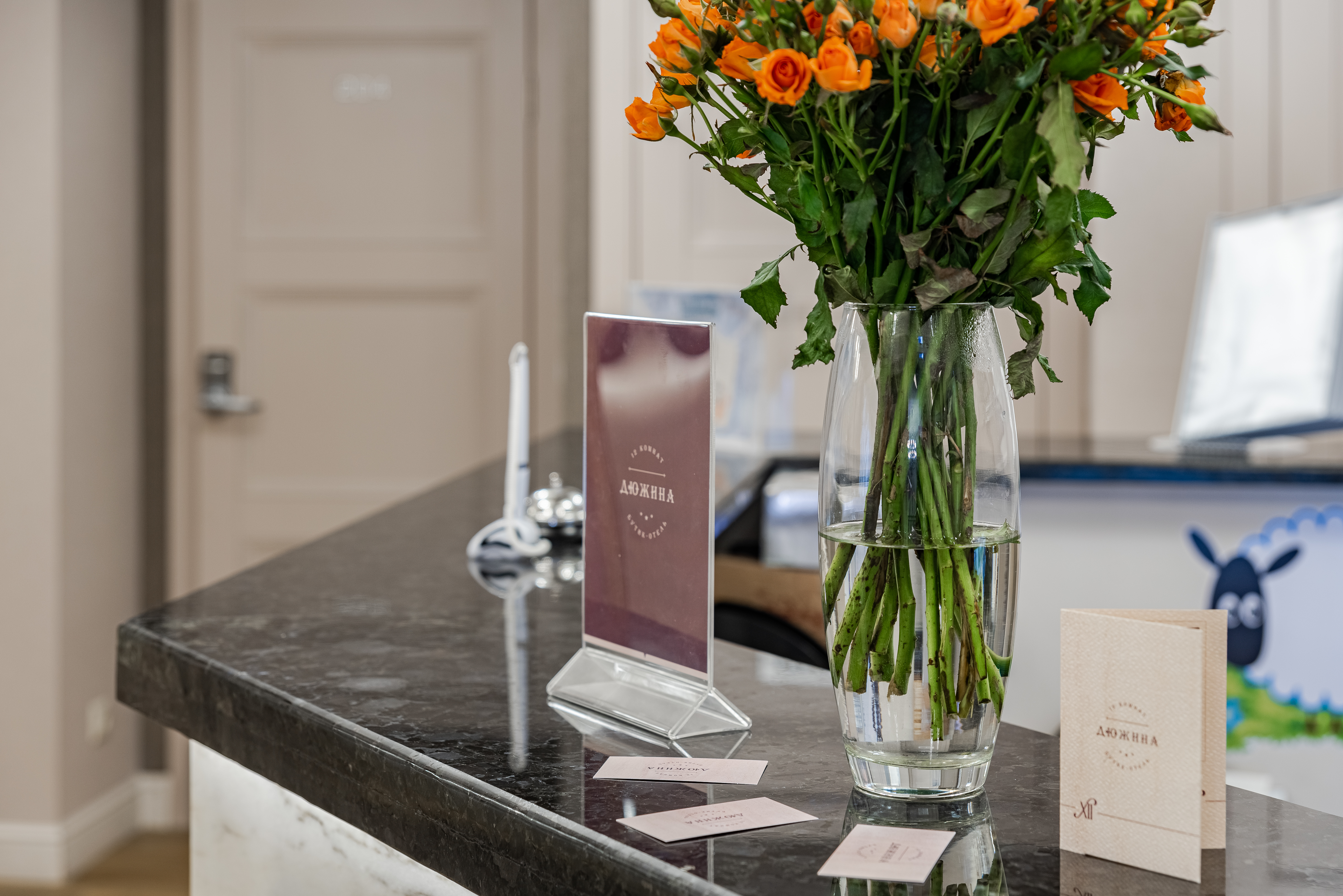 Фото Дюжина